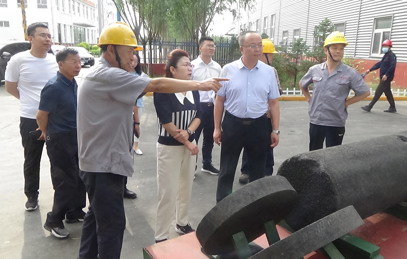 政府領(lǐng)導參觀